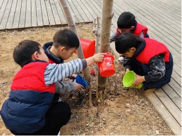 幼教服务中心植树节主题活动集锦