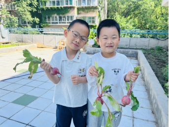 五育润心,向阳成长|守护童心暖阳,呵护心灵绽放